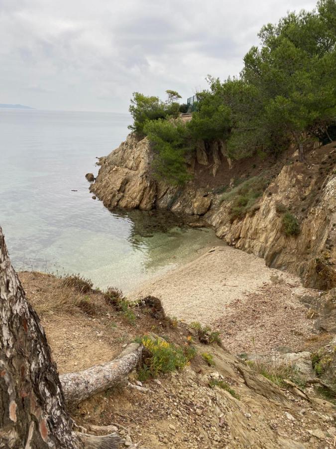 Residence San Paolisa Hyères Dış mekan fotoğraf